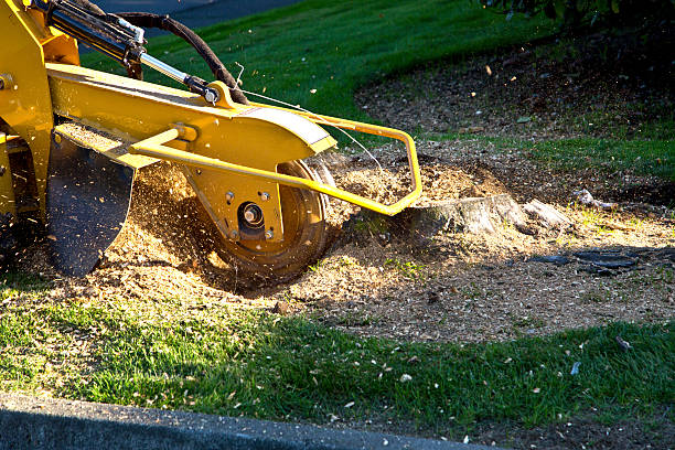 Artificial Turf Installation in Riverton, NJ